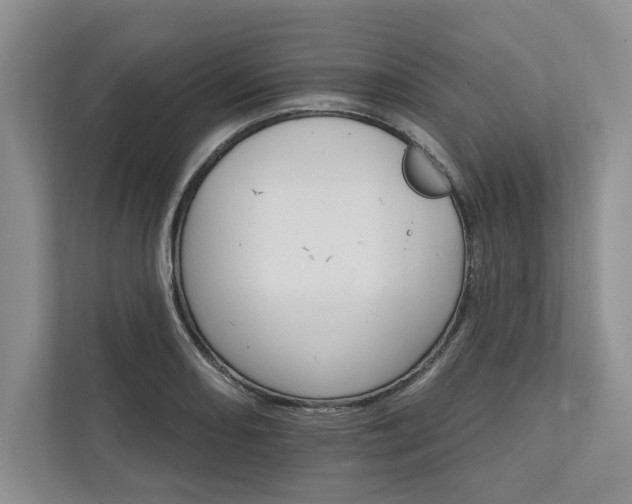 X0000111511082200907211158
