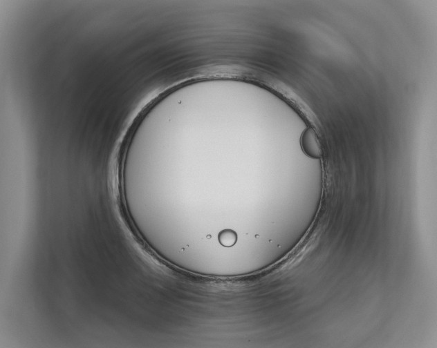 X0000111511083200907211158