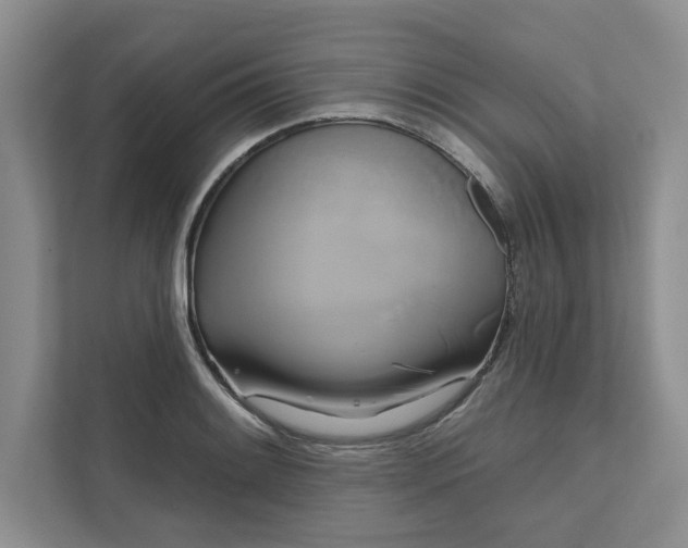 X0000111511084200907211158