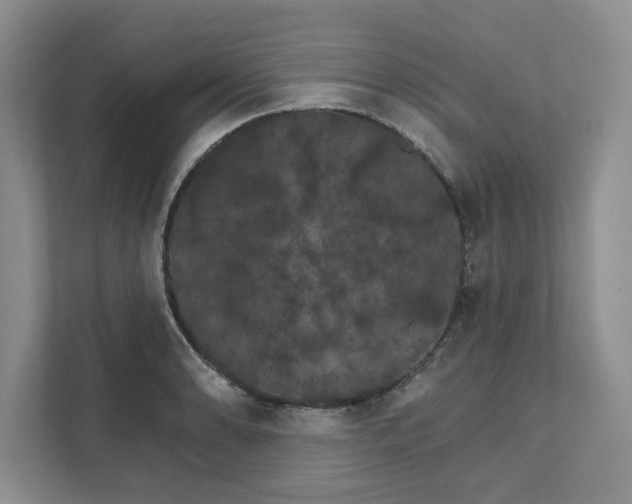 X0000111511086200907211158