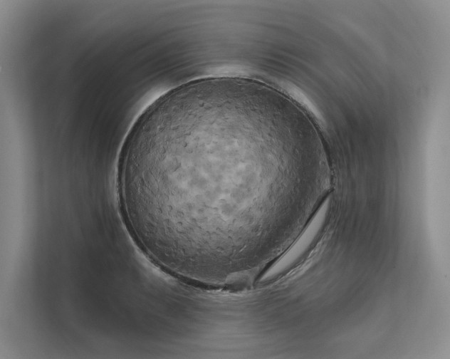 X0000111511087200907211158