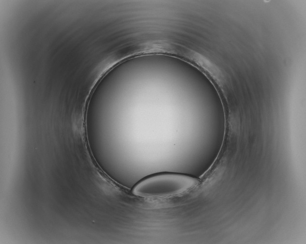 X0000111511089200907211158