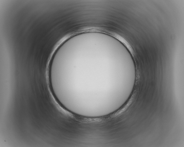 X0000111511090200907211158