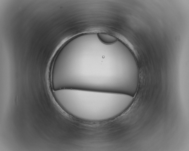 X0000111511091200907211158