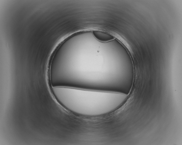 X0000111511093200907211158