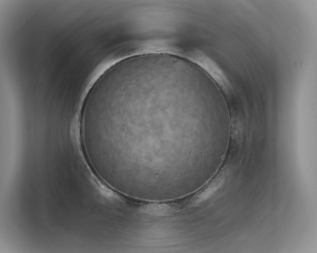 X0000111511094200907211158
