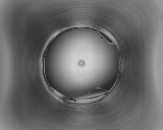 X0000111511096200907211158
