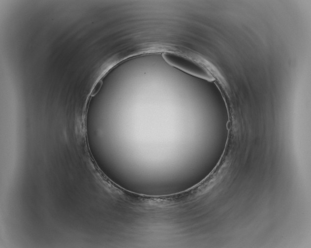 X0000111511097200907211158
