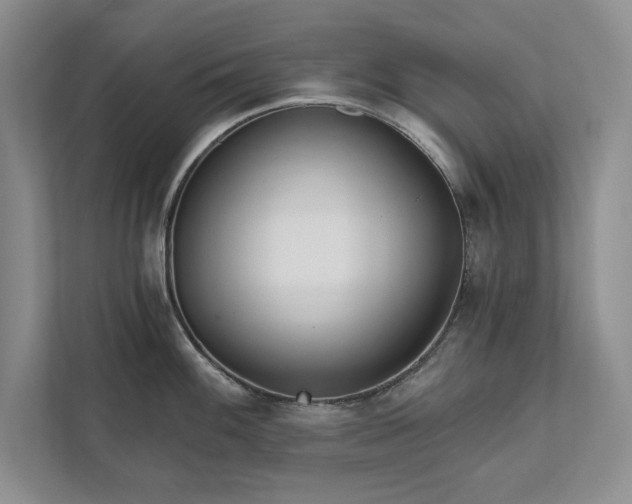 X0000111511100200907211158