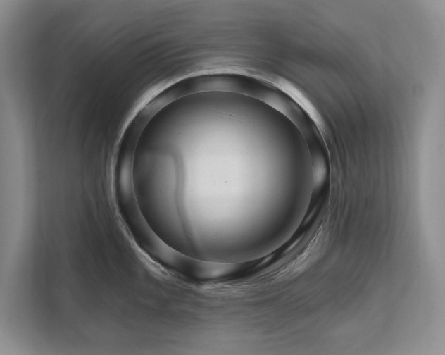 X0000111511101200907211158