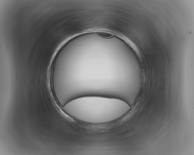 X0000111511102200907211158