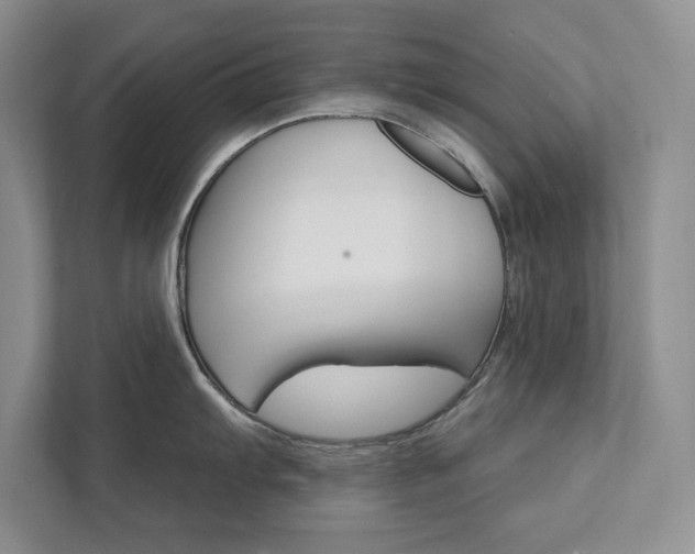 X0000111511103200907211158