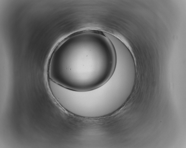 X0000111511104200907211158