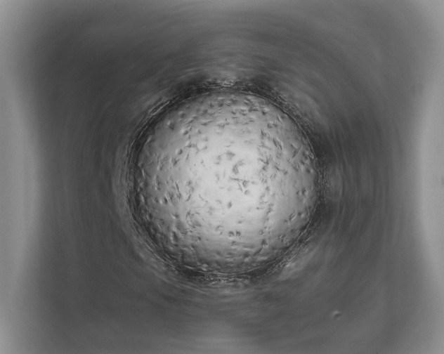 X0000111511105200907211157