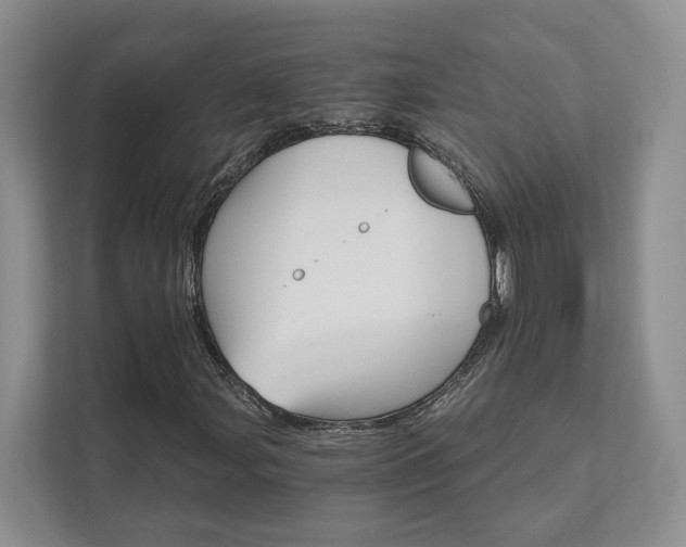 X0000111511107200907211157