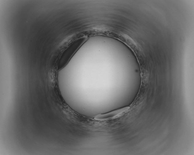 X0000111511110200907211157