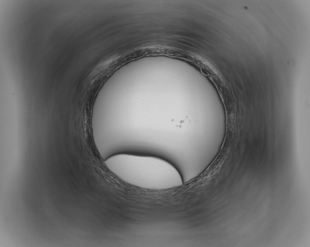 X0000111511111200907211157