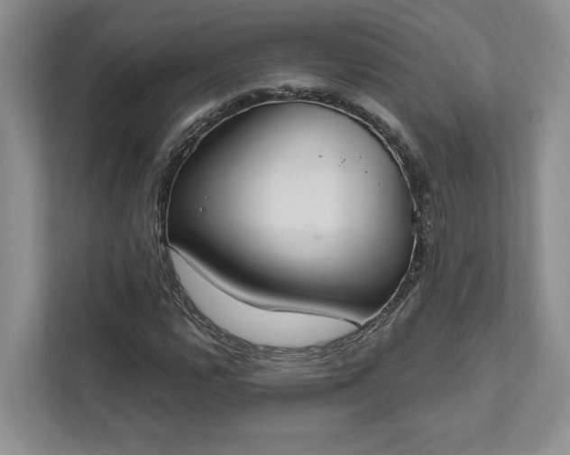 X0000111511112200907211157