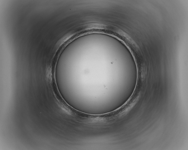 X0000111511113200907211157