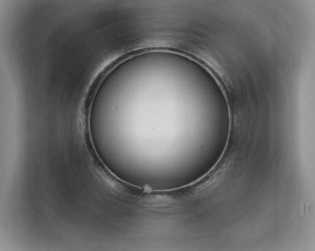 X0000111511119200907211157
