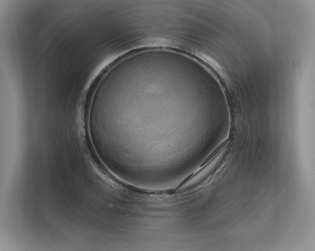 X0000111511120200907211157