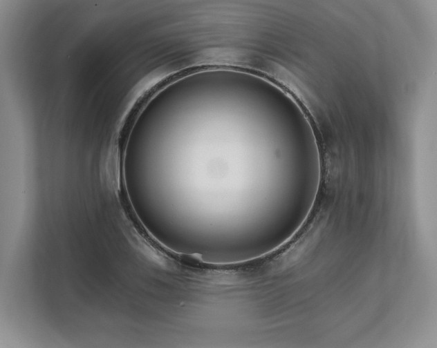 X0000111511123200907211157