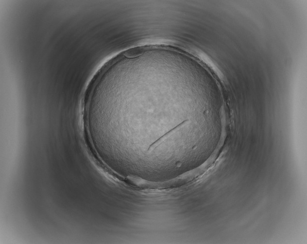 X0000111511124200907211157