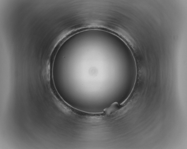 X0000111511126200907211157
