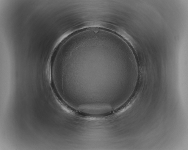 X0000111511127200907211157