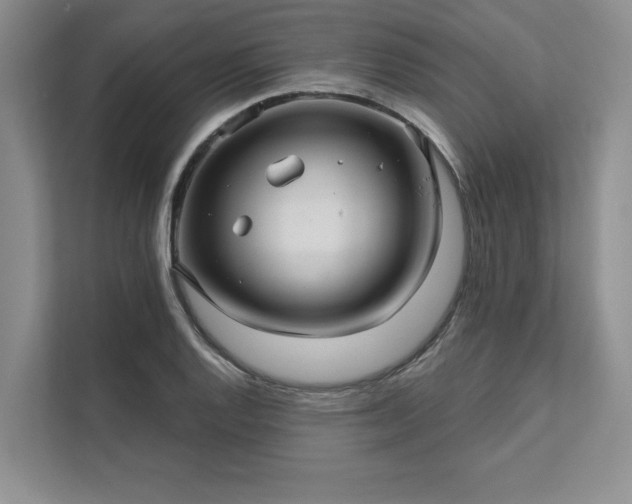 X0000111511128200907211157