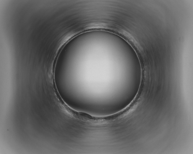 X0000111511129200907211157