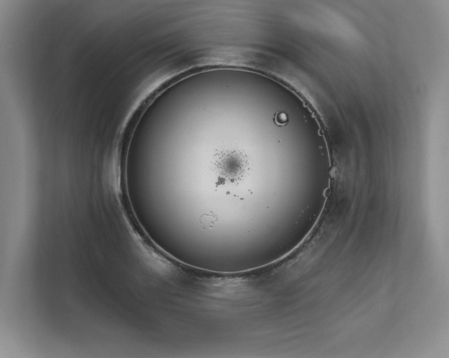 X0000111511131200907211157