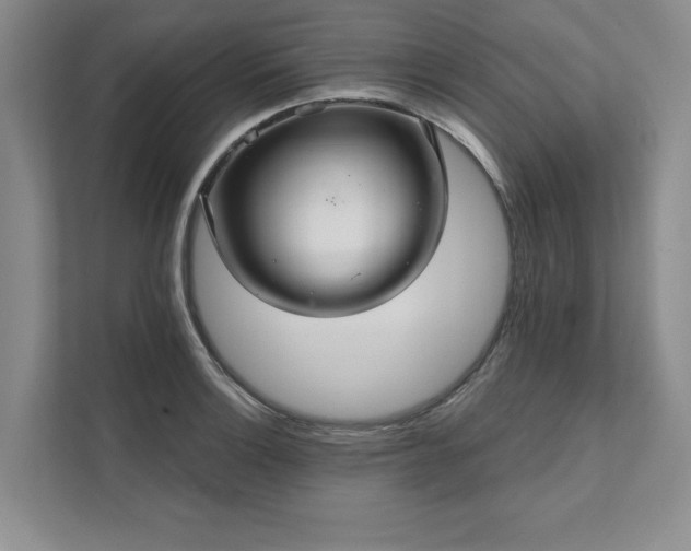 X0000111511132200907211157