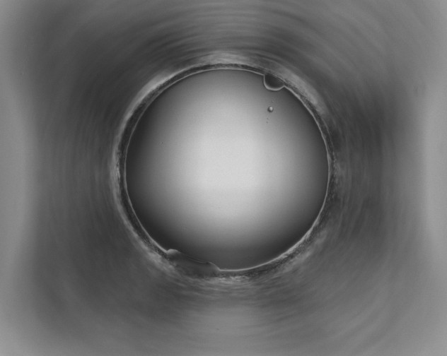 X0000111511133200907211157