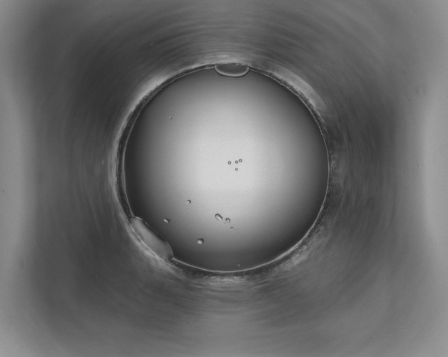 X0000111511135200907211158