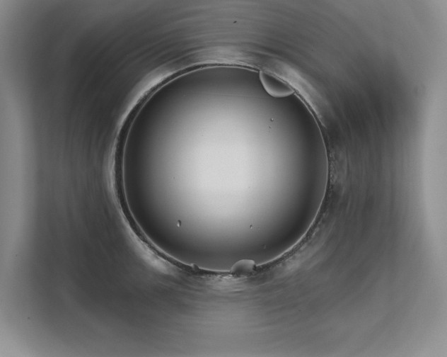 X0000111511139200907211158