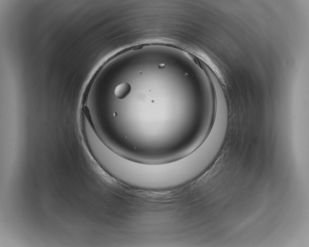 X0000111511140200907211158