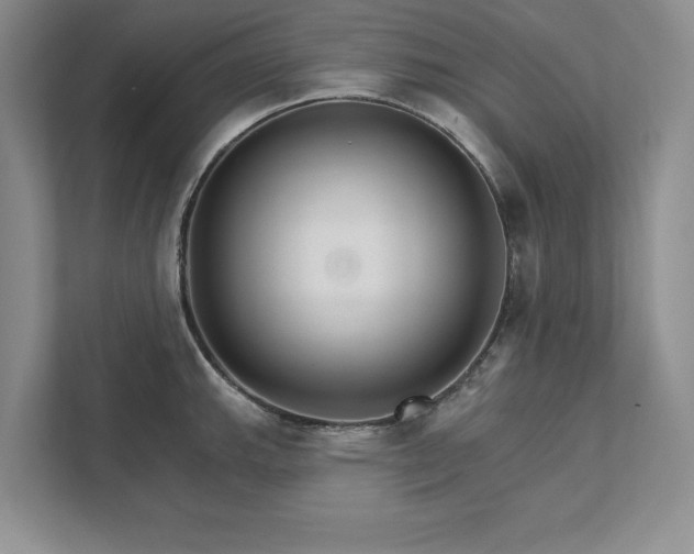 X0000111511143200907211158