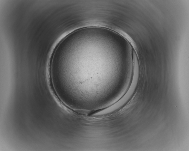X0000111511144200907211158