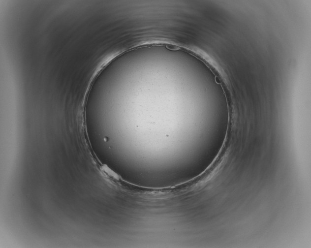 X0000111511145200907211158