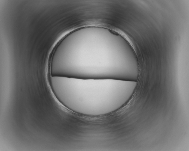 X0000111511147200907211158