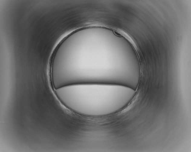 X0000111511149200907211158