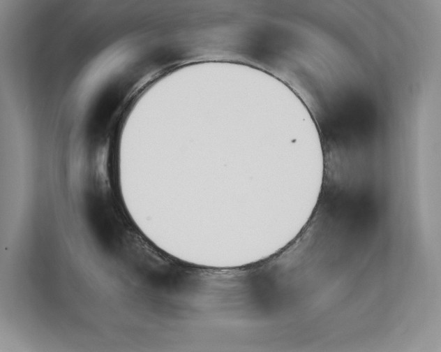 X0000111511150200907211158