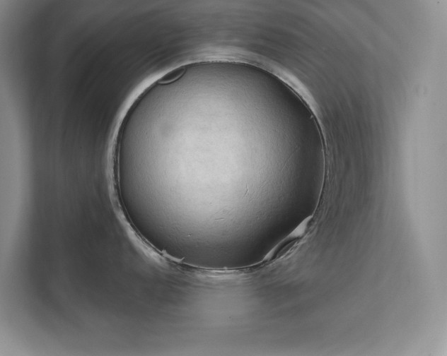 X0000111511152200907211158