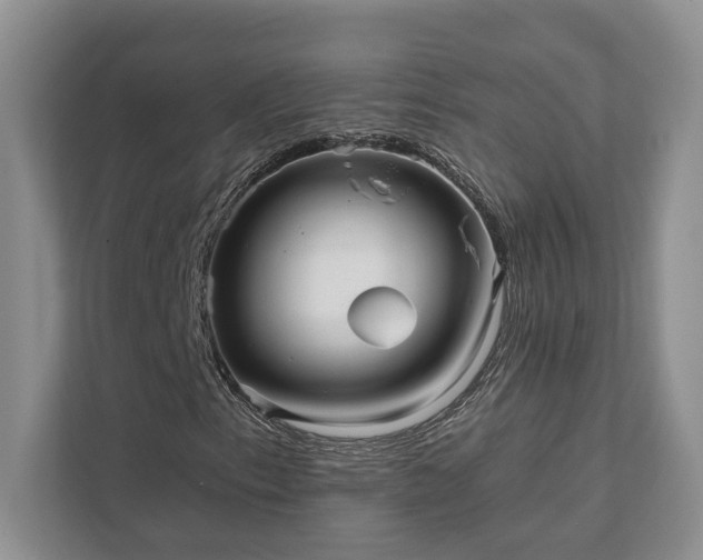 X0000111511153200907211157