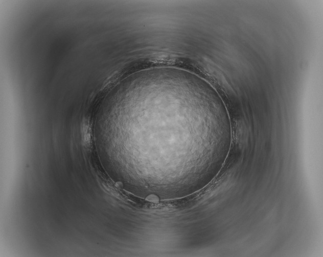 X0000111511154200907211157