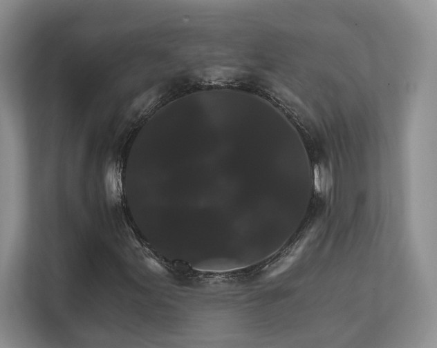 X0000111511155200907211157