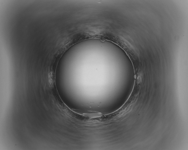 X0000111511156200907211157