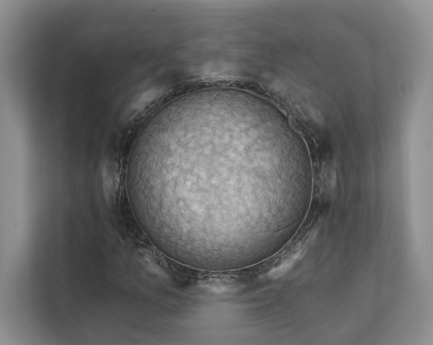 X0000111511157200907211157