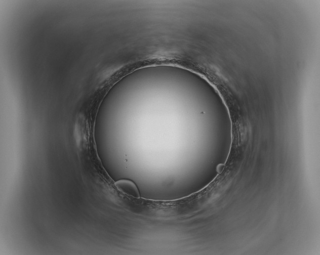 X0000111511158200907211157